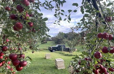 metal house cider esopus ny|Getting to the core of NY's craft cider boom.